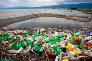 Envases biodegradables a partir de algas son una realidad