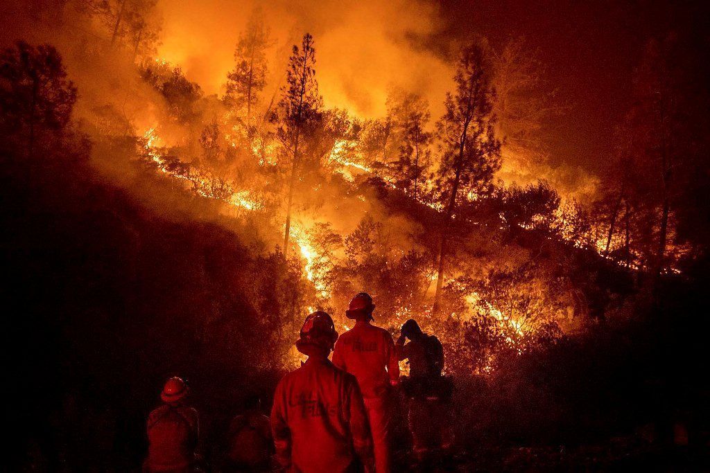 Alerta: incendios forestales y calentamiento global