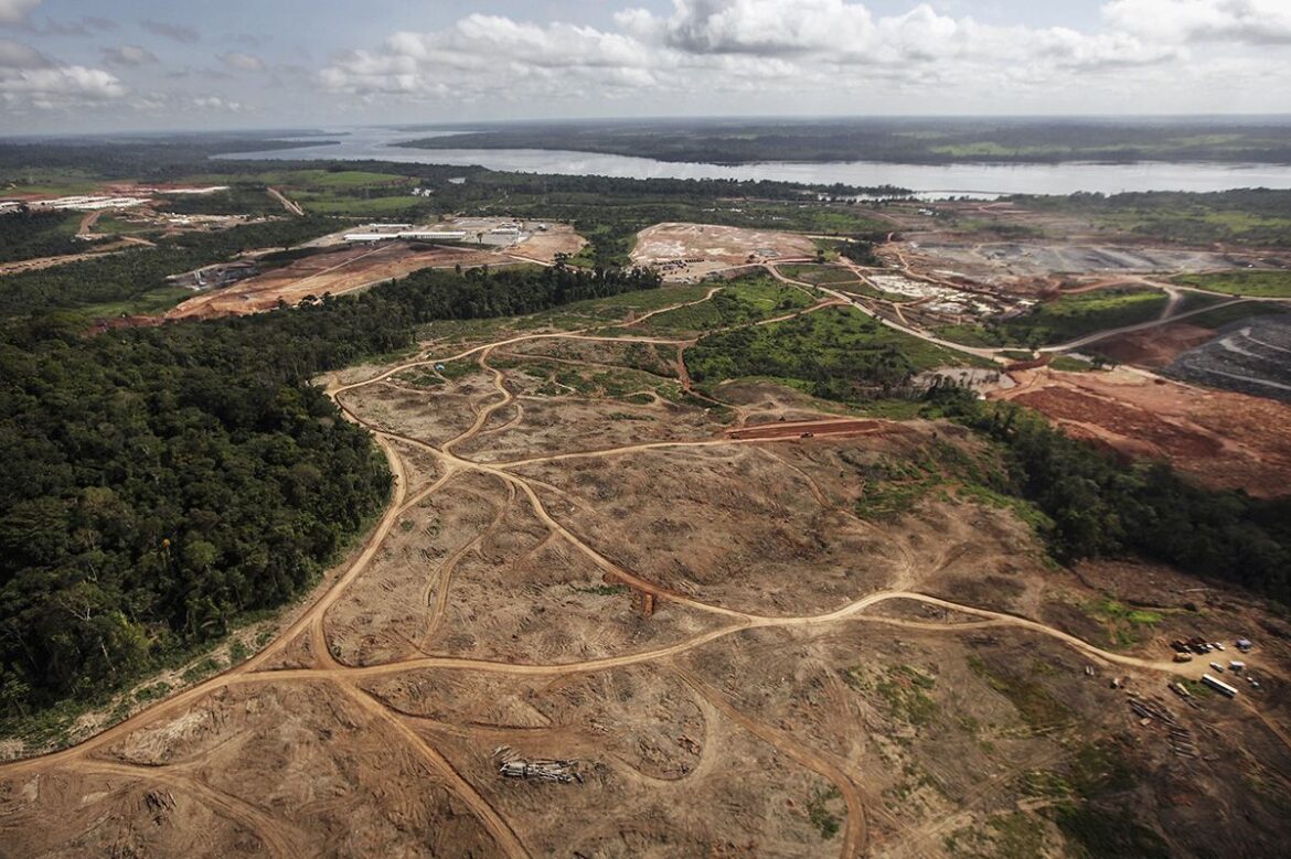 La devastación de la Amazonía brasileña crece vertiginosamente