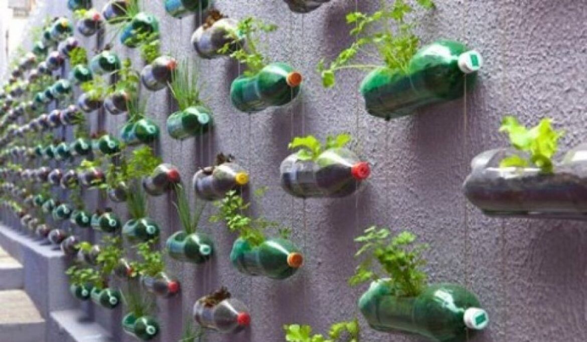 Reciclar y reutilizar el plástico comienza por casa