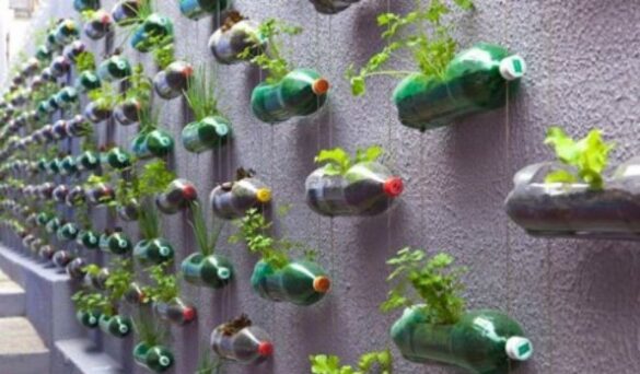 Reciclar y reutilizar el plástico comienza por casa