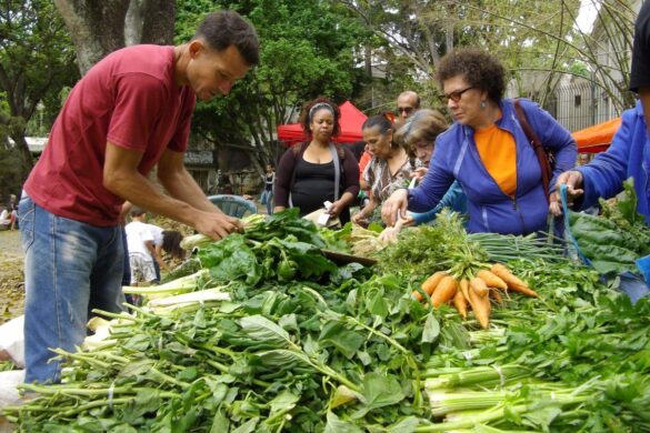 Cuando el conuco viene a la ciudad