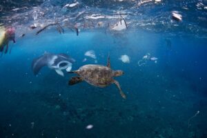 Salvar los océanos para salvar nuestras vidas
