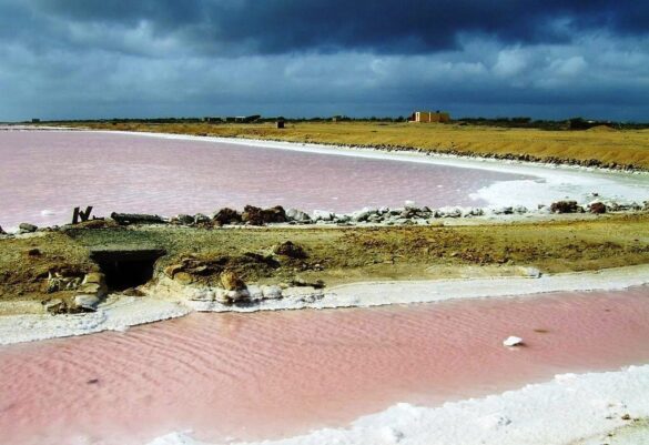 Los exuberantes ocasos en las Salinas de Cumaraguas