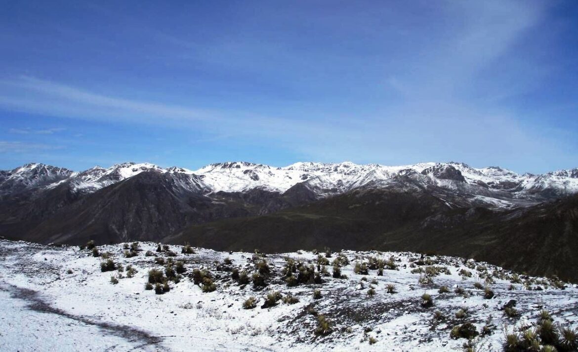 Las cinco águilas blancas de Venezuela