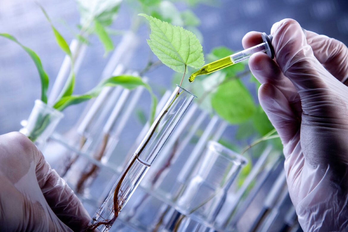 La biotecnología como respuesta a los agroquímicos