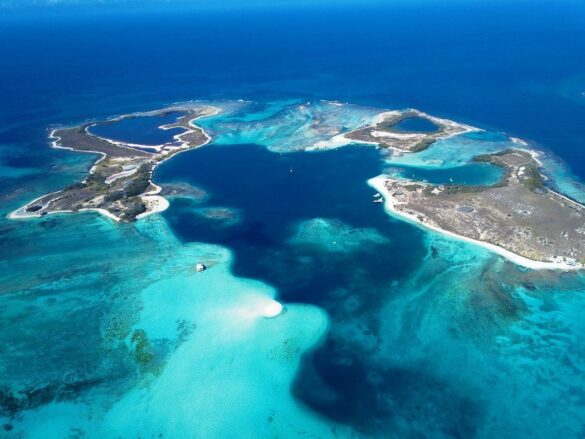 Venezuela está entre los primeros 10 países megadiversos del mundo