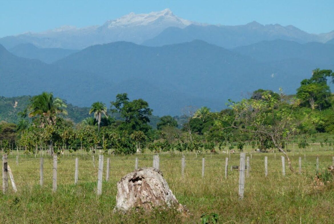 El Pie de monte andino, un contraste de vida
