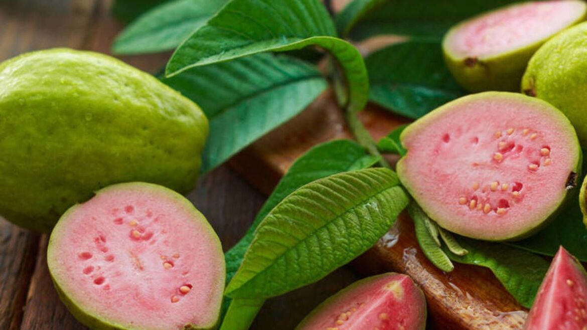 Los mil y un beneficios de la popular guayaba