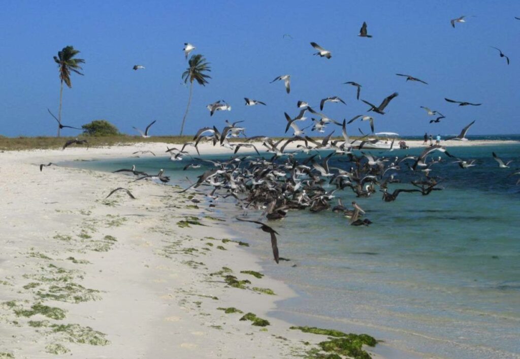 En Isla de aves reina la soberanía venezolana