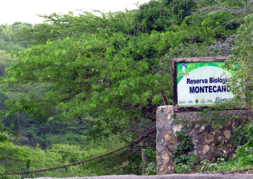 Montecano, el hogar de especies únicas en el mundo
