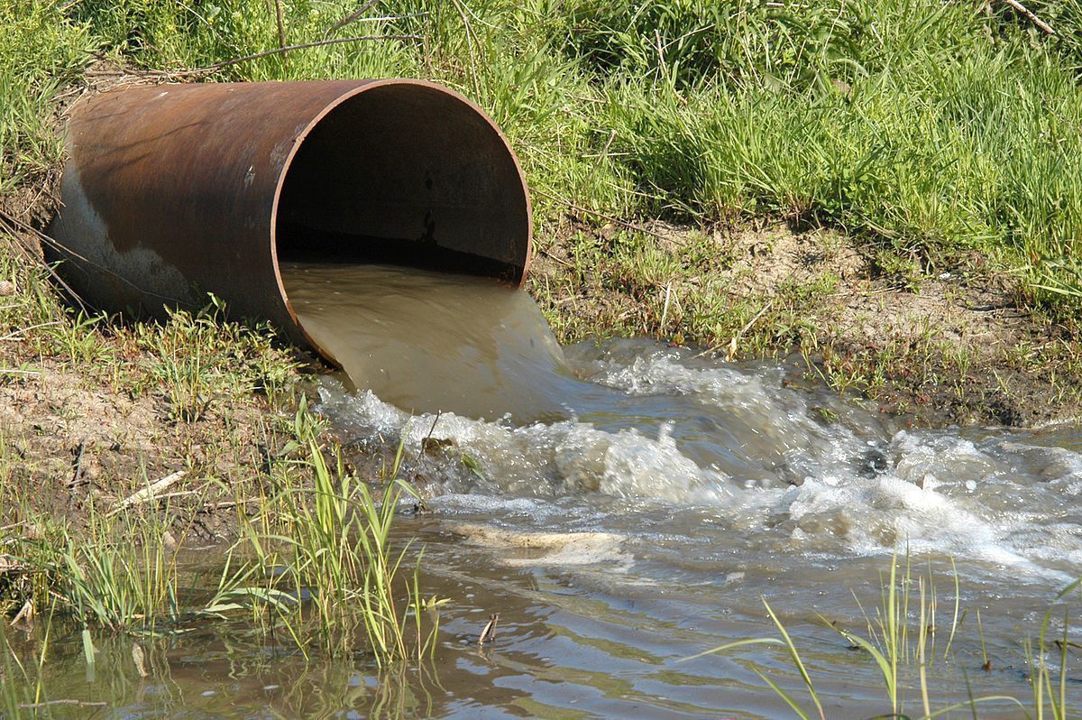 Temas urgentes: contaminación del agua dulce y salada - Haiman El TroudI