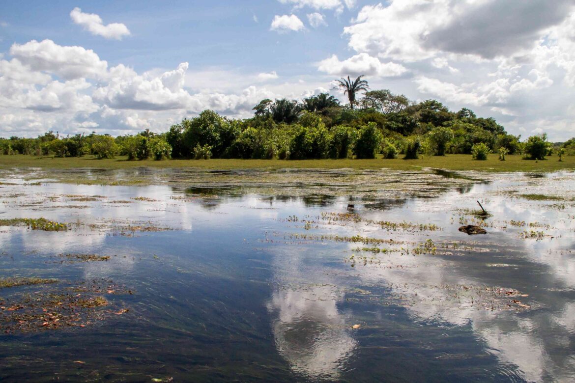 Parque Nacional Santos Luzardo refugio de especies amenazadas