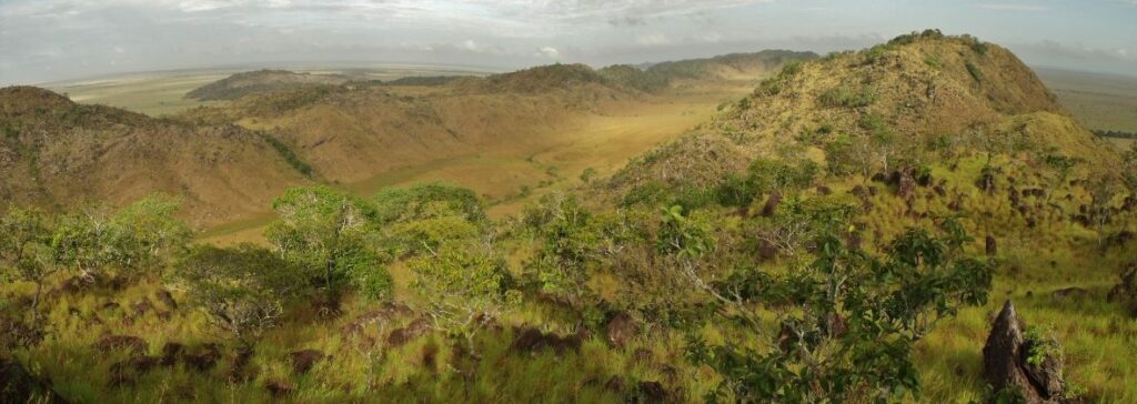 Parque Nacional Santos Luzardo refugio de especies amenazadas