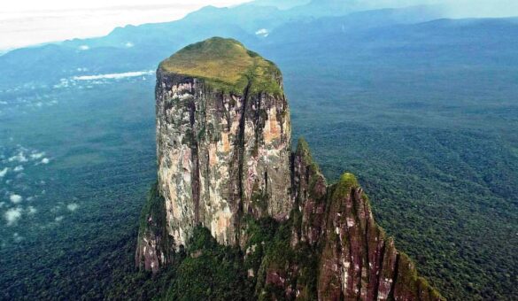 El árbol de la vida y otras leyendas indígenas