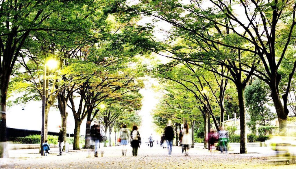 Los árboles urbanos ayudan a mitigar efectos del cambio climático
