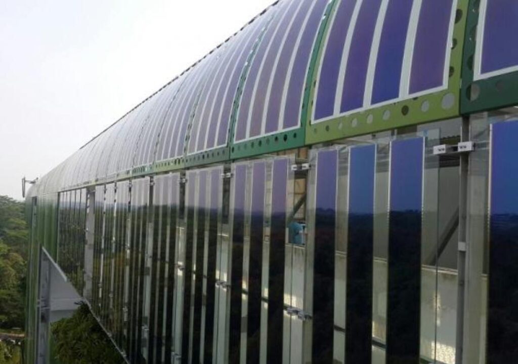 El techo fotovoltaico más grande del mundo da energía a una escuela