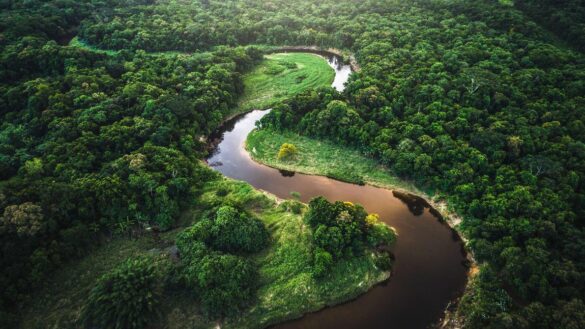 Bosques de Brasil dejan de absorber CO2 y ahora lo emiten