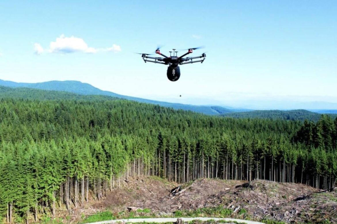 Drones para reforestar, buenas nuevas para el planeta