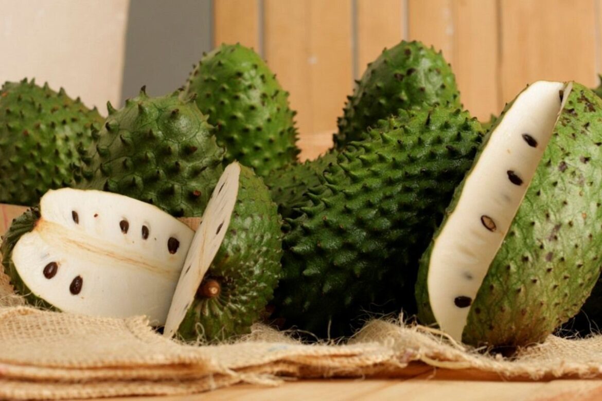 La delicada, polifacética y agridulce guanábana