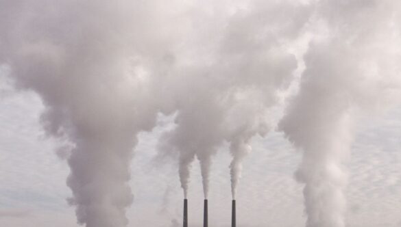 ¿Eliminar el CO2 atmosférico atenuaría la crisis climática?