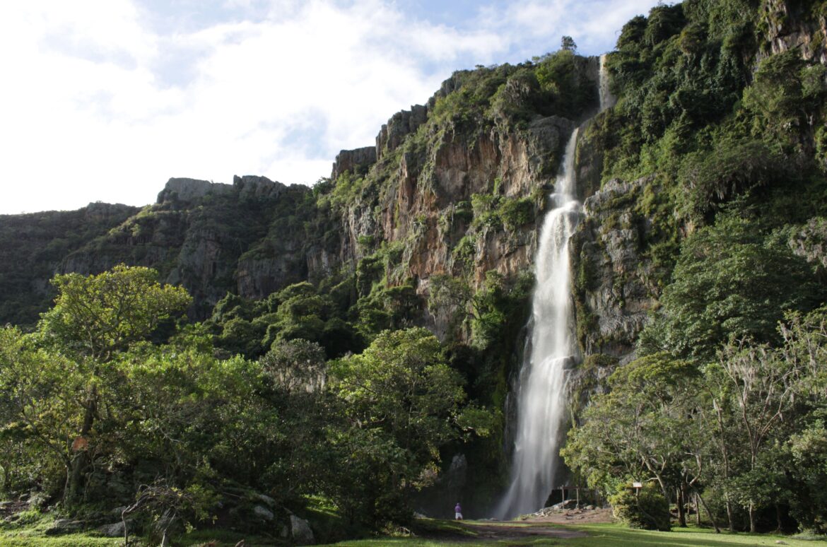 El Parque Nacional Yurubí, guardián del manantial de la vida