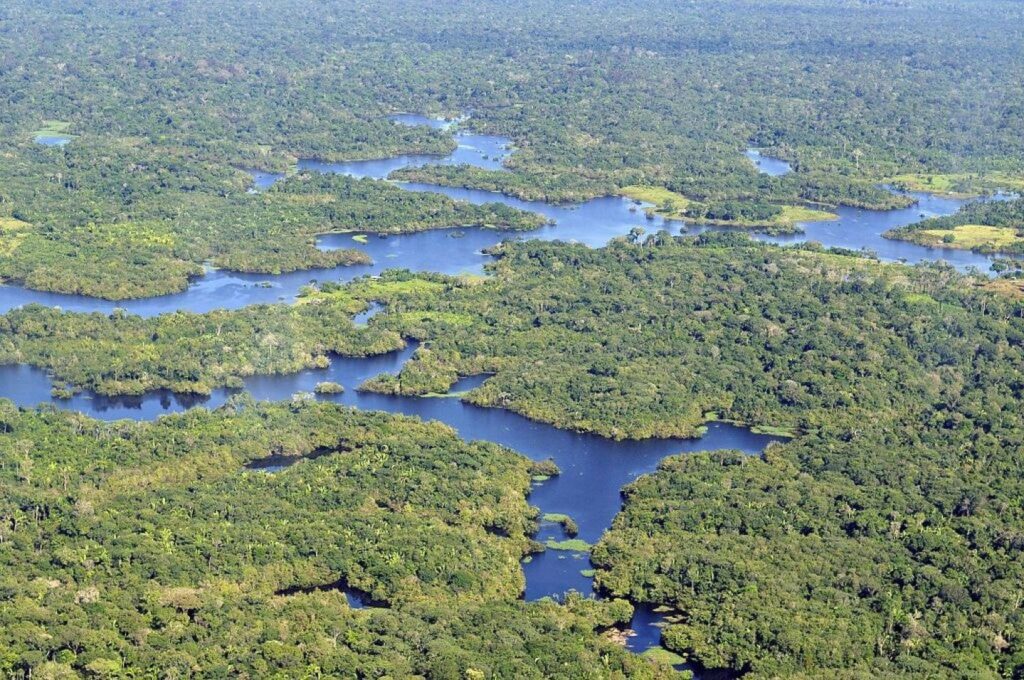 Cuencas del Amazonas.