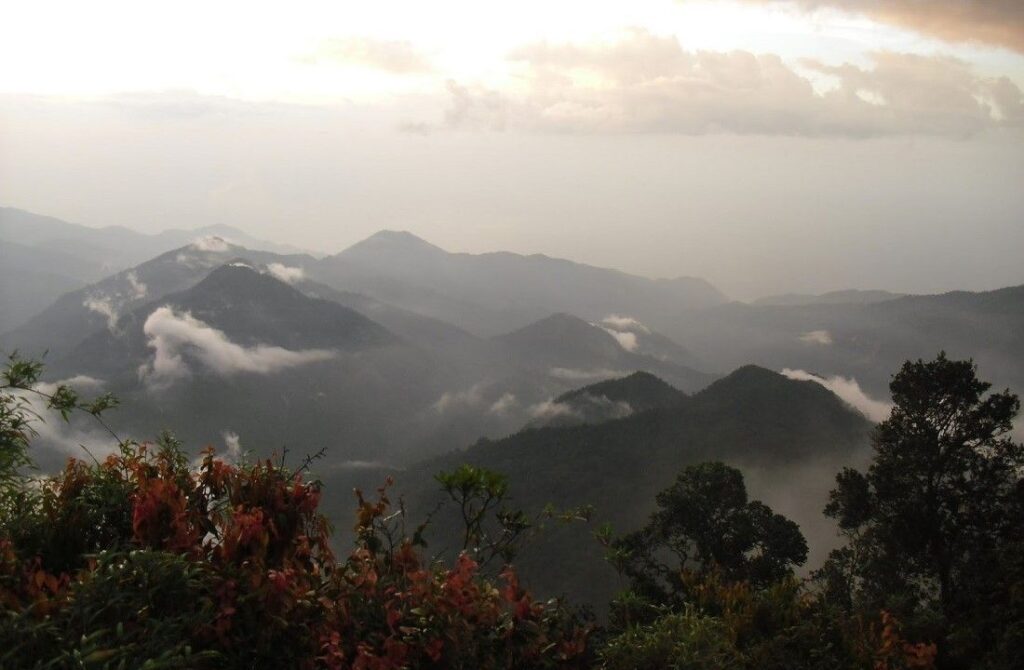 Pico Codazzi, hermoso monumento natural