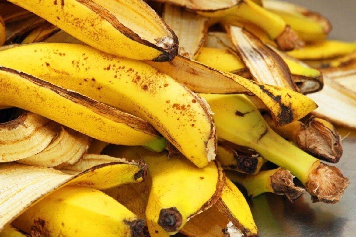 Novedoso material ecológico a base de cáscaras de plátano