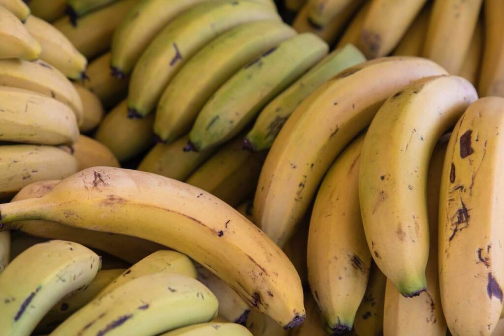 Novedoso material ecológico a base de cáscaras de plátano 
