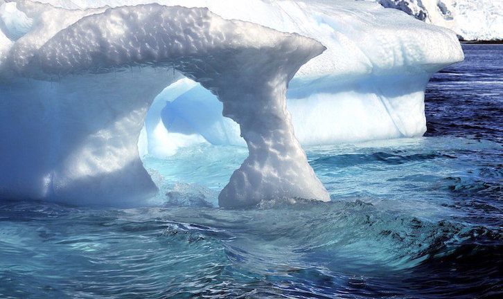 Deshielo antártico provocaría un “desastroso” aumento del nivel del mar