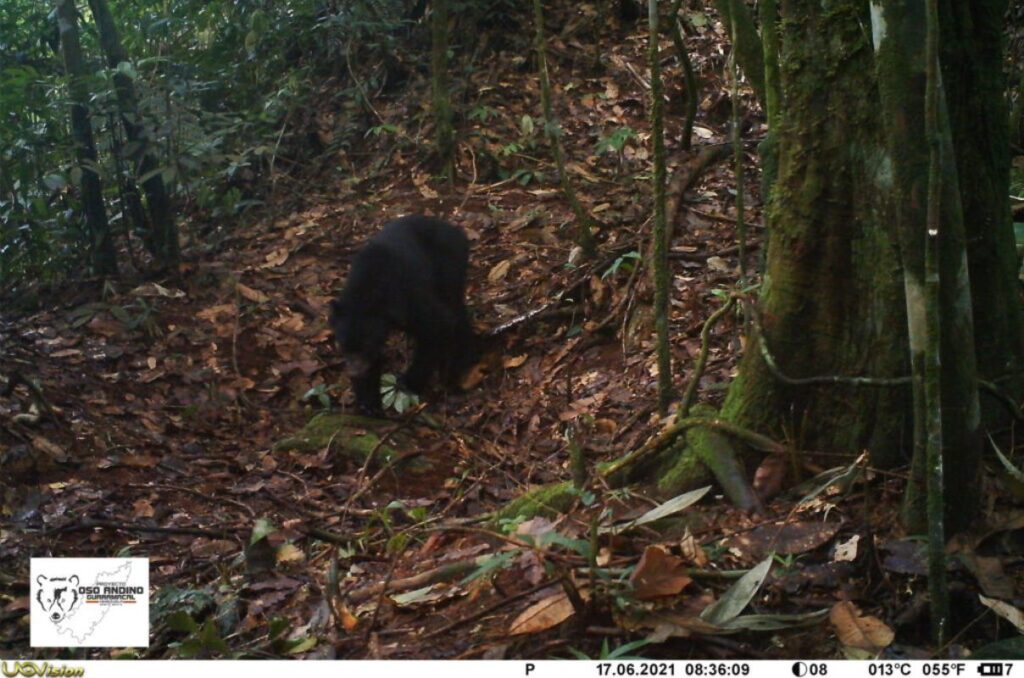Parque Nacional Ramal de Calderas es rico en biodiversidad