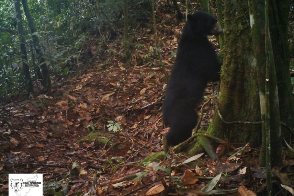 Parque Nacional Ramal de Calderas es rico en biodiversidad