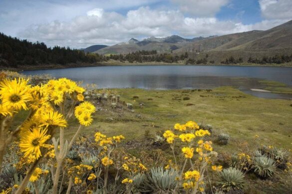 Laguna de Mucubají, hija de un glaciar
