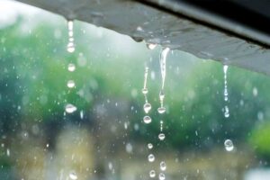 ¿Por qué captar agua de lluvia es una buena práctica? 