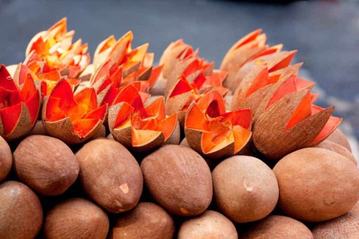 La delicada dulzura del zapote