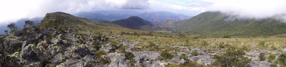 Parque Nacional Dinira, fuente de savia y vida