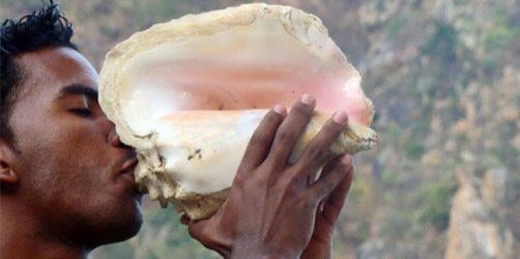 La guarura y El Guarurazo, patrimonio cultural de La Guaira