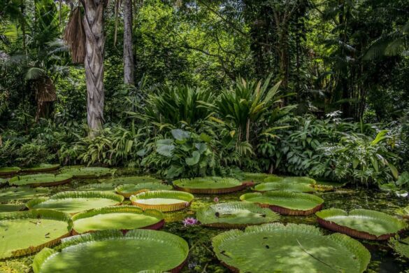 ¿Es posible medir la salud de los ecosistemas terrestres?