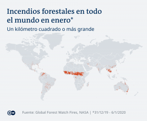 Diez de los bosques más protegidos del mundo emiten mayor cantidad de CO2