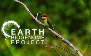 Secuenciar el genoma de la Tierra para conservar el legado genético