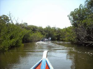 Monumento Natural Laguna de las Marites, refugio de especies biodiversas