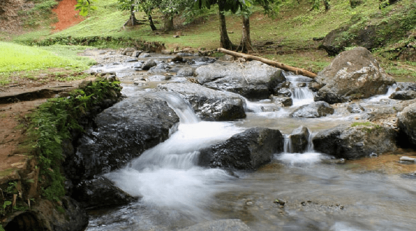Parque Nacional Guatopo, gran reserva hidrológica con atractivo turístico