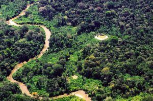 Shabono yanomami, la vida en armonía con la Amazonía