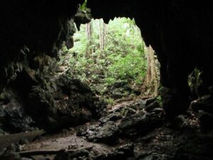 Cueva Alfredo Jahan, hermoso monumento natural del estado Miranda