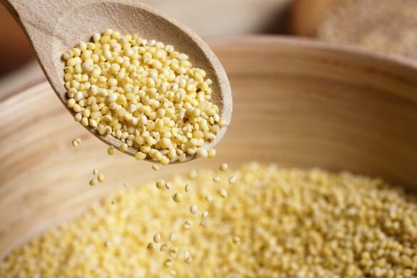 Semillas de mijo aliadas en la lucha contra el hambre en el mundo