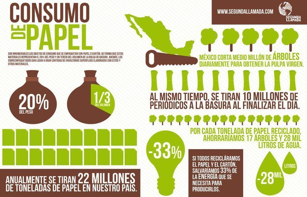 La industria del papel y su negativo impacto en el medio ambiente