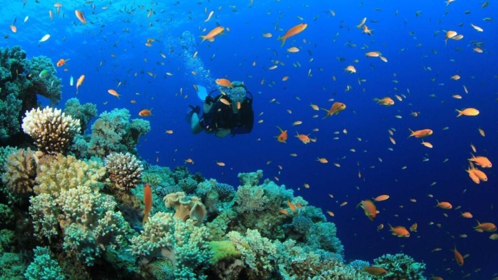El archipiélago Los Roques y sus paradisíacos escenarios