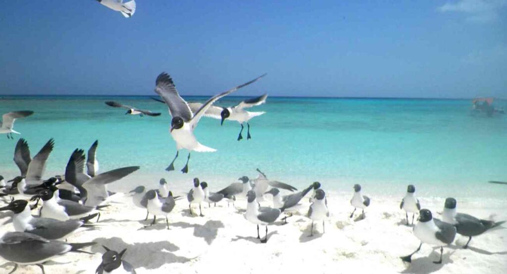 El archipiélago Los Roques y sus paradisíacos escenarios