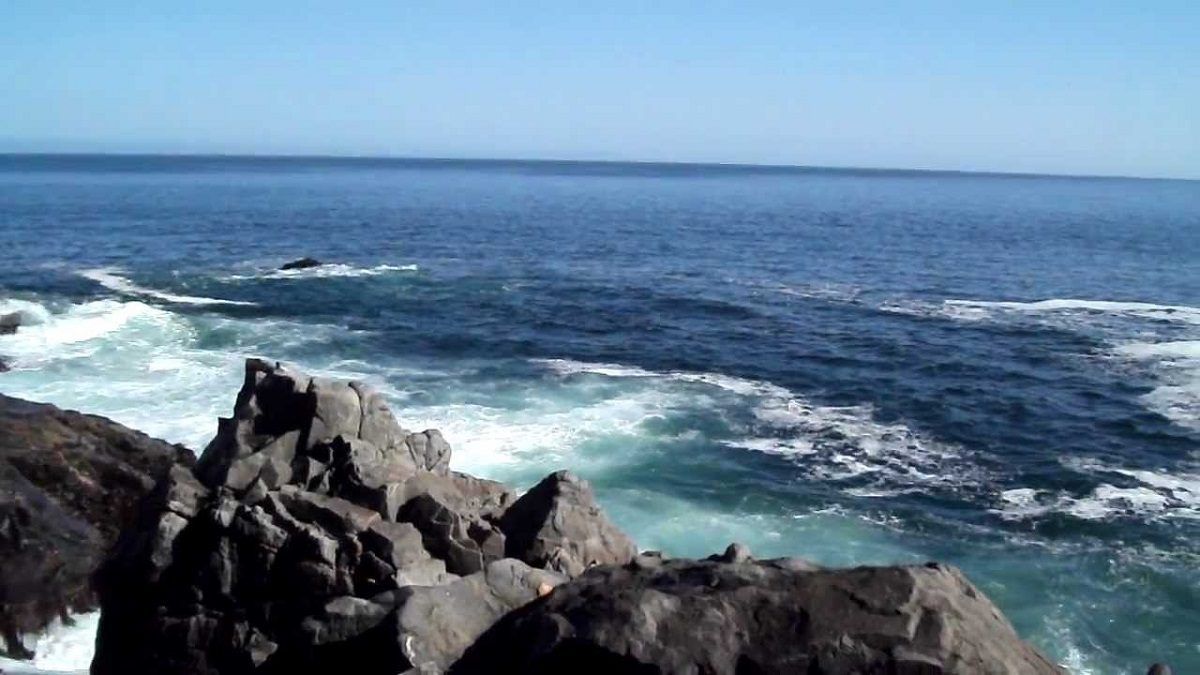 Peligrosa piscina de agua caliente en el Pacífico es originada por la contaminación humana